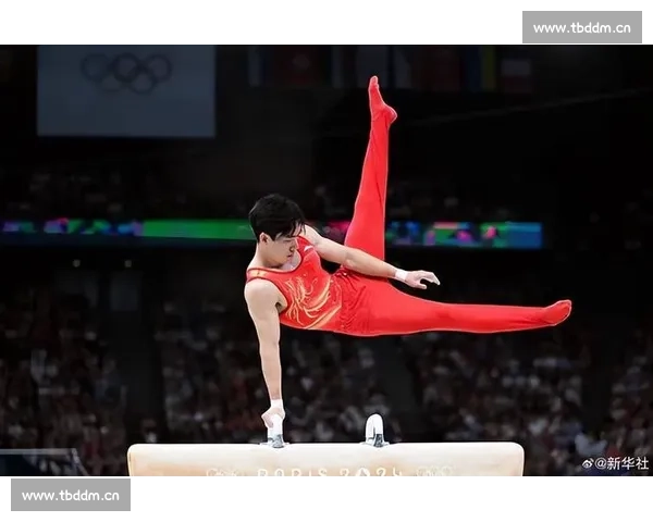 竞技体操的技巧与训练方法探析:提升竞技水平的关键要素与发展趋势 - 副本 - 副本 - 副本